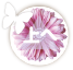 上へ