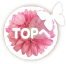 TOPへ